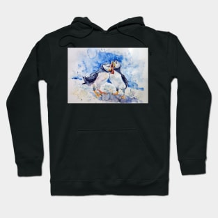 Puffins Hoodie